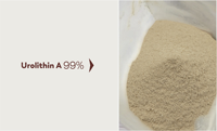 Poudre de Urolithine A Liposomale 98% en Vrac, CAS 1143-70-0, Poudre Nano Liposomale de Urolithine-A pour Capsules et Nutraceutiques