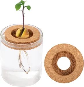 Avocado Lade En Schoon Water Container Beste Geschenk Voor Kinderen Volwassen Vrienden Tuinieren Liefhebbers Avocado Groeien Kits