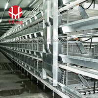 Cage à poulets de chair de type H à 3 niveaux, cage de batterie automatique pour poulets de chair, plancher en plastique, abreuvoir à tétine, convoyeur à fumier, acier galvanisé