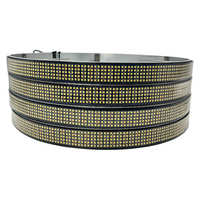 Kit de Luces LED para Ruedas de 5 Filas y 17200LM de Alta Luminosidad, Anillos de Luz Blancos Puros de 17 Pulgadas para Talleres Automotrices Profesionales, IP67 12V