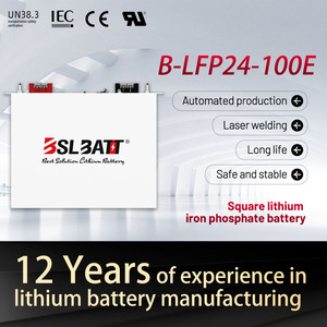 <span class=keywords><strong>BSLBATT</strong></span> personalizado larga duración 24v 100ah montado en rack Lifepo4 batería 2.56kwh batería de litio para almacenamiento de energía - Product Image 4