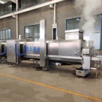 Machine à rôtir à la vapeur en continu pour hot-dogs Machine à cuire à la vapeur pour pizza Machine à frire le poisson Machine de cuisson industrielle pour saucisses
