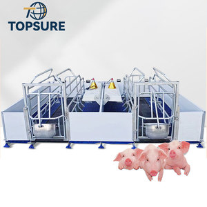 Chăn Nuôi Lợn thiết bị trang trại gieo đẻ giường và lồng giao hàng cho lợn nái - Product Image 5