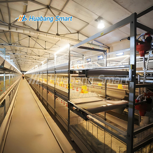Cage à poulets de type H galvanisée à chaud, système de cages avicoles automatiques, équipement pour poulets de chair et pondeuses avec système <span class=keywords><strong>d</strong></span>'évacuation du fumier - Product Image 2