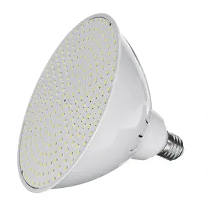 Pentair 78428100 Amerlite 12V Led 수영장 빛을 위한 세련한 수영장 부속품 보충