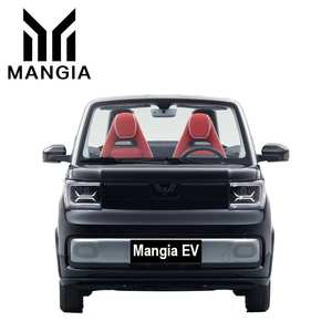 Nouveau véhicule électrique de haute qualité mode <span class=keywords><strong>Mini</strong></span> <span class=keywords><strong>Cabriolet</strong></span> deux portes deux places véhicule électrique adulte Wuling <span class=keywords><strong>Mini</strong></span> voiture à <span class=keywords><strong>vendre</strong></span> - Product Image 2