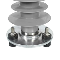 Parafoudre extérieur Shuangfeng 33KV en caoutchouc silicone polymère à oxyde de zinc YH10W-33S14C900 pour la protection contre la foudre