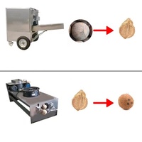 Automatische kokosnootvezelstripper van roestvrij staal voor massaproductie van kokosnootvlees
