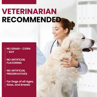 Complément de chondroïtine pour animaux de compagnie, saveur poulet, à mâcher souple, pour la santé des articulations, soulagement de la douleur, antioxydant, pour le commerce transfrontalier