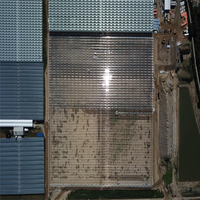Grande serre agricole multi-chapelles en verre de type Venlo, structure en acier galvanisé à chaud, taille personnalisable, ventilation pour légumes