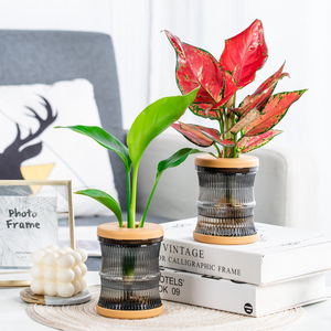 <span class=keywords><strong>Pot</strong></span> de fleurs hydroponique créatif en résine PET transparente P443, petit, simple, design épuré, pour une utilisation sur le bureau - Product Image 2