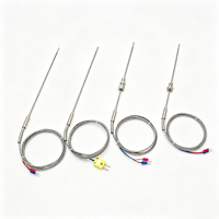 Sensor de Temperatura RTD Pt100, Termopar Industrial Tipo K con Aislamiento Mineral, Sonda Industrial de Acero Inoxidable 1200°C