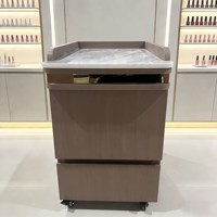 Chariot de Salon de Beauté Multifonctionnel Nouveau Design pour Maquillage, Pédicure et Manucure, Chariot Doré avec Roues Verrouillables