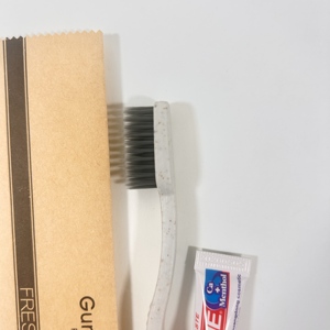 Biểu Tượng Tùy Chỉnh In Sinh Thái Có Ý Mè Nha Khoa Chăm Sóc Thiết Lập Dùng Một Lần ABS Bàn Chải Đánh Răng & Kem Đánh Răng Kraft Hộp Cho Khách Sạn 5 Sao Đồ Dùng Trong Nhà Tắm - Product Image 3