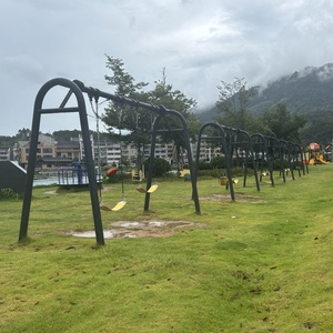 Chất lượng cao hai chỗ ngồi ngoài trời kim loại <span class=keywords><strong>Swing</strong></span> Set cho Trường Mẫu Giáo & nhà cho khu vườn phiêu lưu công viên - Product Image 2