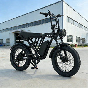 V20 Bike Women 750W Lithium Battery 15Ah Pedal-Assist 7-Speed High Speed Rear <b>Hub</b> Motor Carbon Steel City Bike - Product Image 1