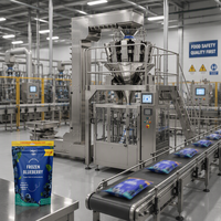 Machine d'emballage multifonctionnelle pour sachets de fruits surgelés