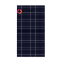 Livraison gratuite Panneaux solaires monocristallins HJT de type N Risen 550W 600W 660W 700W Haute performance Bifaciaux
