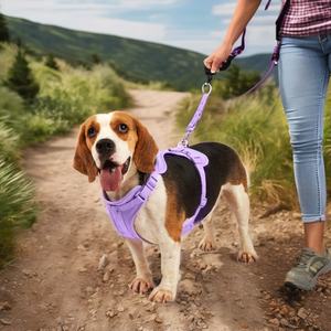 Grosir kalung hewan peliharaan dapat disesuaikan tahan air Set kalung anjing mewah kalung Anjing khusus <span class=keywords><strong>harness</strong></span> anjing - Product Image 2