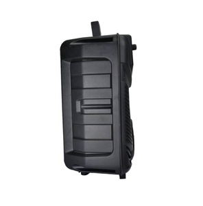 Altavoz Bluetooth Portátil Mini de 8 Pulgadas, con Luz Ambiental, para Uso en Interiores o Exteriores, Karaoke, NDR-P44 - Product Image 4