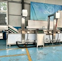 Machine à vapeur pour la décongélation spéciale du cabillaud, du calmar et du porc
