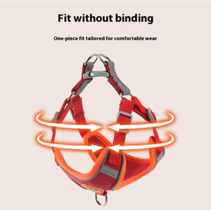 Arnés para perros personalizable respetuoso con el medio ambiente, resistente al agua, a prueba de mordeduras, correa para mascotas - Product Image 2
