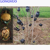 Boîte de propagation à haute pression pour plantes, boutures, greffage, enracinement, arbres de jardin, machine d'enracinement à haute pression, boule de propagation