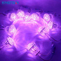 Lumières LED à pixels RVB intelligentes de haute qualité DC24V 57mm 18 LED, type cabochon, étanches IP67, adressables pour parcs d'attractions