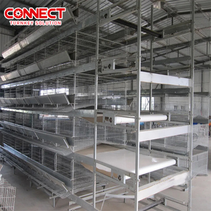 Gabbia per Galline Ovaiole Tipo H a 12 File con Capacità di 50000, Allevamento Avicolo, Gabbia a Batteria per Polli e Volatili - Product Image 3