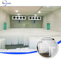Máquina de Fabricación de Hielo en Bloques de Enfriamiento Directo Icemedal para Grandes Industrias, 20T 25T 30 Toneladas, Precio de Fábrica