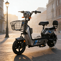 Vélo électrique de ville MTBGO, prix usine, 48V 350W, haute puissance, cadre en acier carbone, batterie lithium.