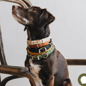 Luxus Haustier-Katzenhalsband aus Leder in Individuellen Farben, Wasserdicht, Klassische Hundehalsbänder aus Veganem Echtleder - Product Image 3