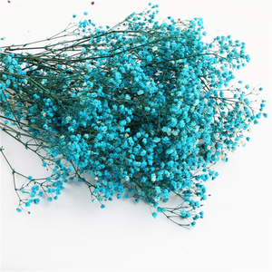 YUNNAN-ramo de flores de Gypsophile secas para bebé, granja Real Natural fresca para siempre, respiración seca - Product Image 5