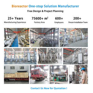 Sistema de Biorreactor Encamisado de 1000L y 2000L, Equipo Anaeróbico para Cultivo de Tejidos, Microbiología y Biorreactor Bacteriano - Product Image 6