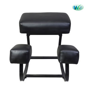 WS 3191 produk nyeri kronis fungsional, produk terkait nyeri punggung tetap cocok untuk kursi kerja komputer - Product Image 1