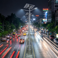 Lampadaire solaire LED 80W à panneaux séparés, boîtier en aluminium moulé sous pression, IP65, pour éclairage routier extérieur et construction municipale