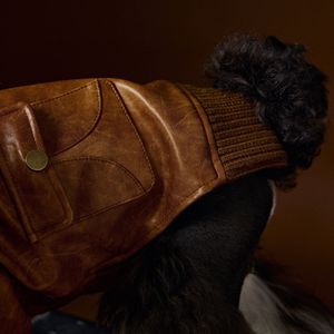 เสื้อผ้าสัตว์เลี้ยง เสื้อแจ็คเก็ตหนัง PU สไตล์อังกฤษย้อนยุคสำหรับสุนัข แขนยาว <span class=keywords><strong>กางเกง</strong></span>สองสายรัดเก๋ไก๋ คุณภาพสูง โลโก้ปรับแต่งได้ - Product Image 4