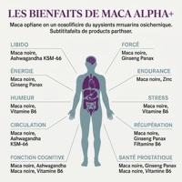 Capsules de Maca Alpha Man Power, complément alimentaire à base de plantes biologiques pour améliorer la vitalité masculine adulte, gestion de l'énergie