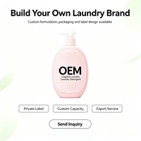 Lessive en Gros pour Sous-vêtements Écologique et Douce, Parfum Lavande Jasmin, Logo Personnalisé pour l'Exportation (OEM)