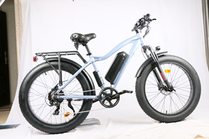 Vélo électrique à succès 1000W 48V avec batterie lithium 13Ah, pneus larges 26 pouces, VTT électrique HP-EMB03 - Product Image 5