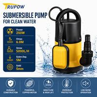 Pompe de drainage submersible automatique 250W à alimentation directe usine, 5000L/H, hauteur de refoulement 6M, pour eau propre, avec poignée de transport intégrée