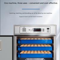 Incubateur d'œufs automatique 1232 œufs, double alimentation, pour usage agricole et commercial en couvoirs