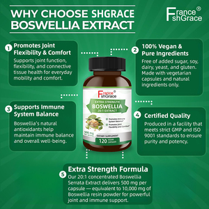 Nuevo Suplemento de Boswellia 20:1 Extracto, Apoyo a la Función Inmunológica para Mujeres, Extractos de Plantas, 120 Cápsulas de Boswellia - Product Image 2