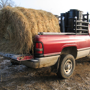 تغويز الكتلة الحيوية المتقدمة CFB المتداولة المميعة CFB - Product Image 4