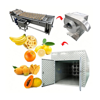 Kleine fruit- en groentedroger productielijn mango citroen sinaasappel banaan droogmachine