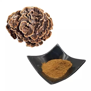 Chiết Xuất Từ Đuôi Gà Tây Chiết Xuất Từ Coriolus Versicolor Polysaccharide Kresin - Product Image 2