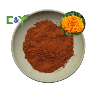 Fabrikdirektverkauf Margoldblumen-Extrakt 20 % Lutein Zeaxanthin Lutein-Supplement für Augen