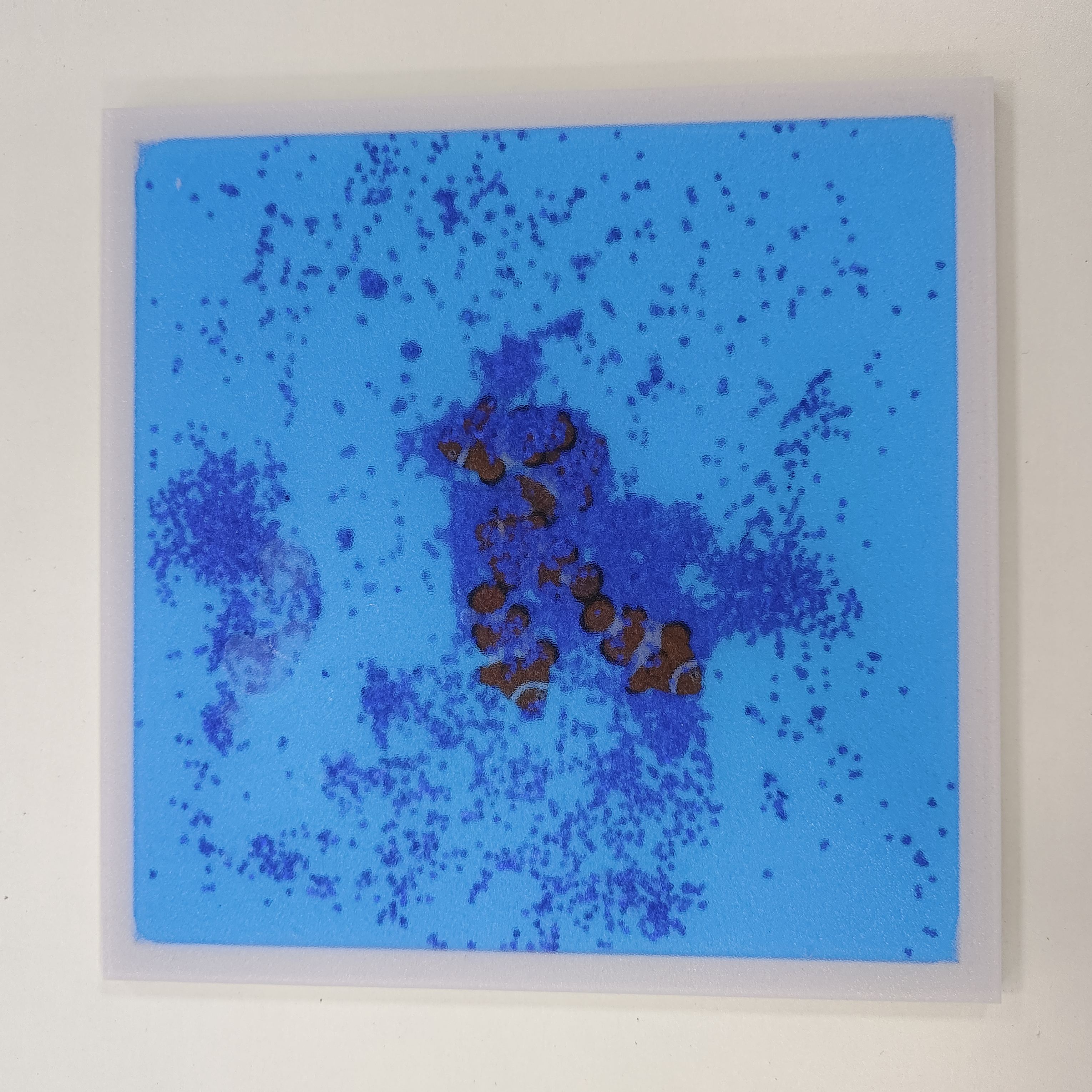 ปลาทะเลสีฟ้า