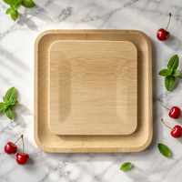 Assiettes carrées jetables en bambou 8 x 8 pouces, qualité alimentaire, écologiques, pour dîner, lot de 25 pour la restauration et les fêtes