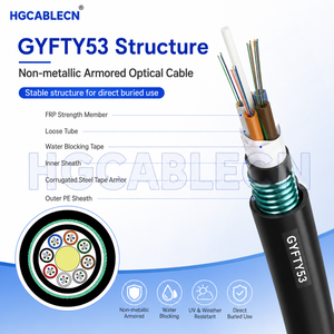 GYFTY53 4 12 24 48 96 144 Kern Außen-Erdkabel Glasfaserkabel Singlemode G652D Gepanzert Nicht-Metallisch FRP Kommunikationskabel - Product Image 3